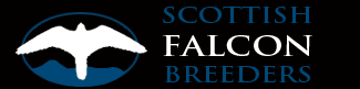 huntly falconry